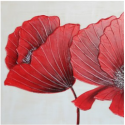 Red Poppies Canvas CP130 