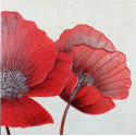 Red Poppies Canvas CP131 