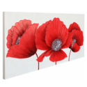 Red Poppies Large Canvas CP128