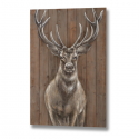 Stag on Wood effect Panel