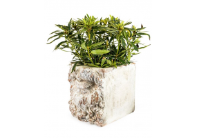 Large Rustic Stone Effect Classical Mouth Planter
