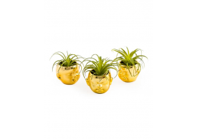 Set of 3 Gold Plated Ceramic Mini Baby Face Pots