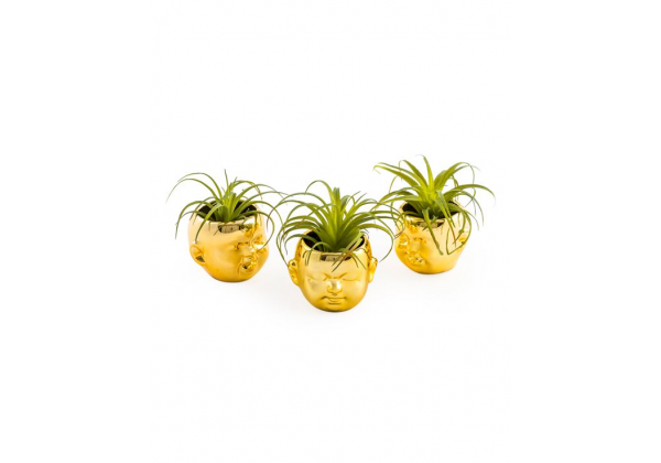 Set of 3 Gold Plated Ceramic Mini Baby Face Pots