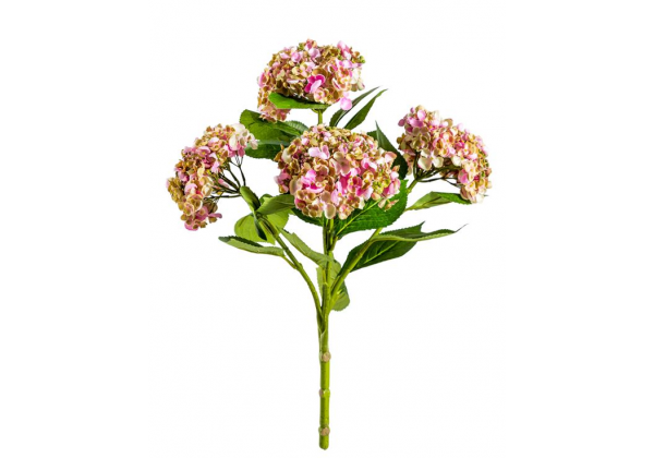 Ornamental Pink Hydrangea 5 Flower Stem