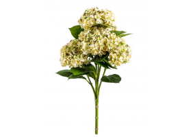 Ornamental Green Hydrangea 5 Flower Stem