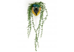 Ceramic Macaw/Parrot Head Wall Sconce Vase