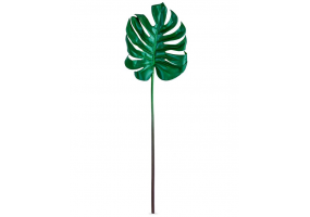 Ornamental Split Philo Leaf Single Stem