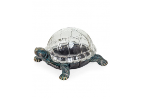 Antiqued Bronze Effect Tortoise with Glass Shell Display Box