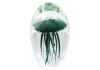 Fern Green Jellyfish Glass Paperweight with Gift Box