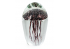 Purple Jellyfish Glass Paperweight with Gift Box